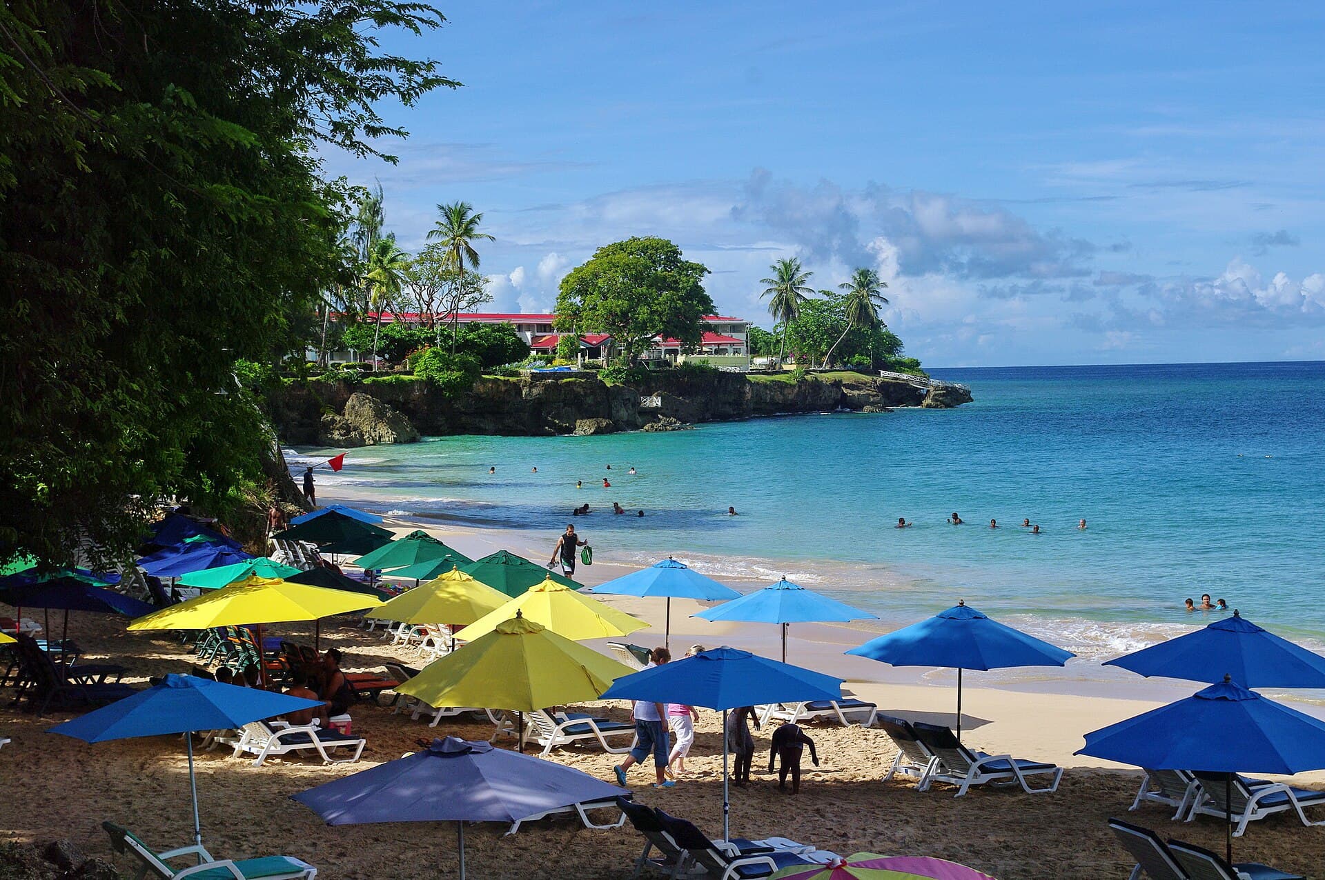 Store Bay beach in Tobago seen from the shade of a tree, with rows of blue and yellow beach umbrellas and loungers on the sand, swimmers in clear blue water and a low rocky point beyond